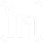 icon-linkedin2